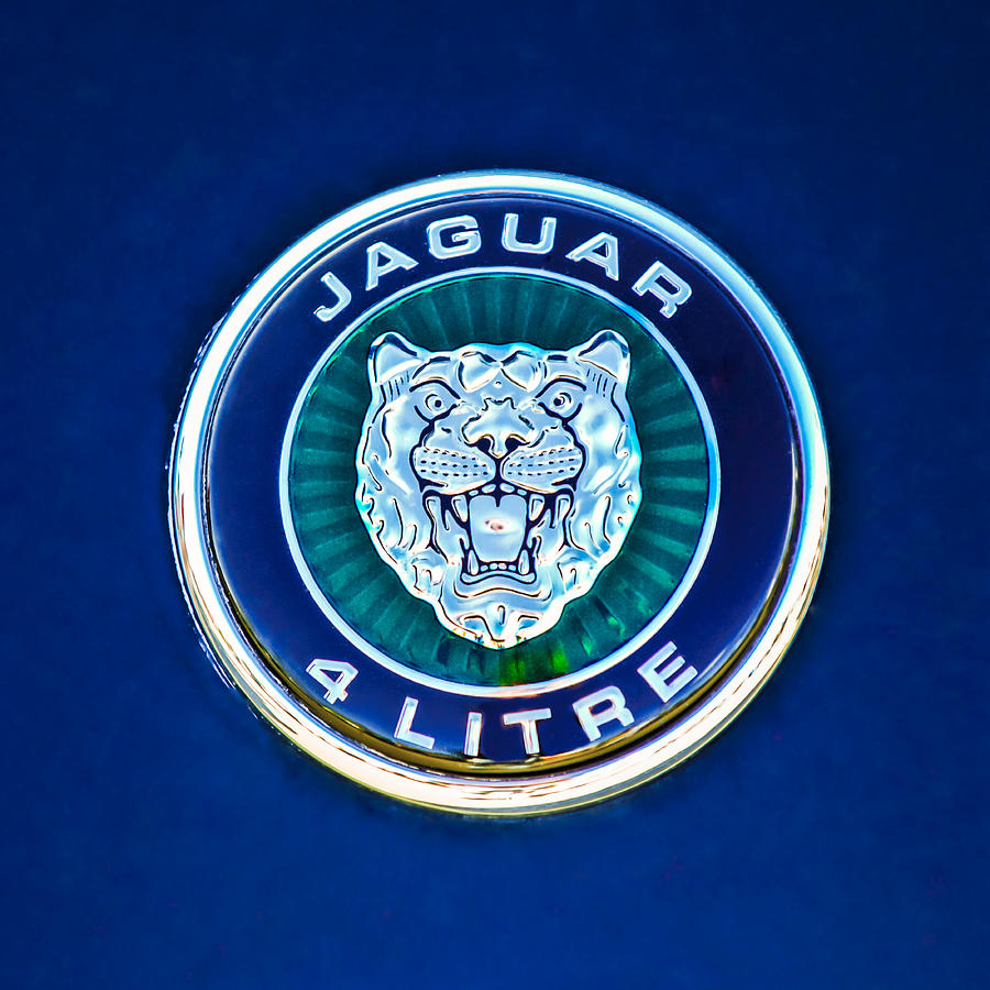 Jaguar Emblem -0792c Photograph by Jill Reger