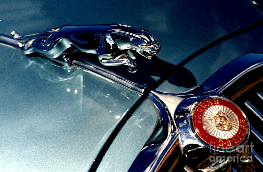 Jaguar Emblem in Blue Photograph by Peter Sandilands - Fine Art America