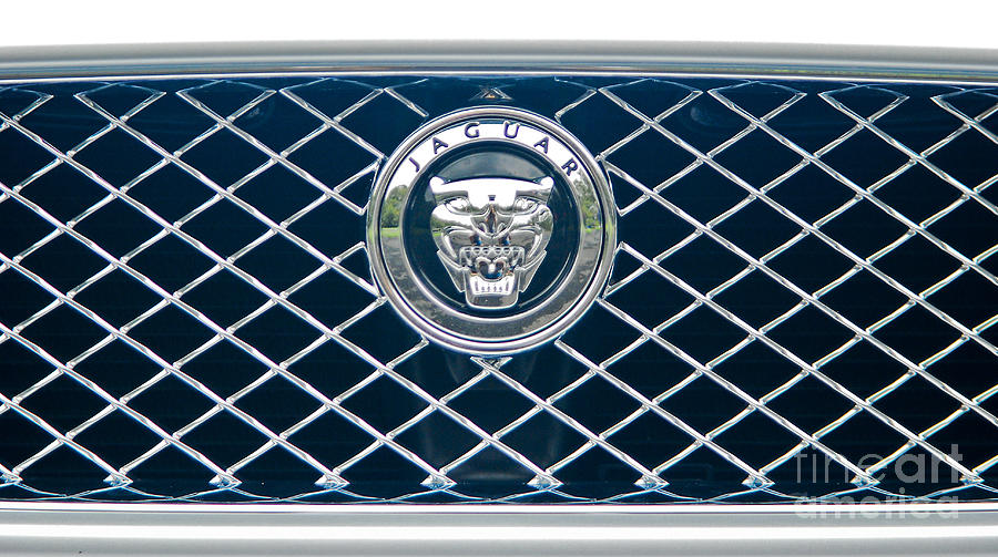 Car Photograph - Jaguar emblem on grill by Christopher Edmunds