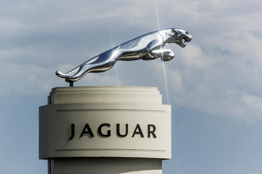 Jaguar Emblem Digital Art by Photographic Art by Russel Ray Photos