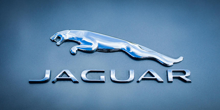 Car Photograph - Jaguar F Type Emblem by Jill Reger