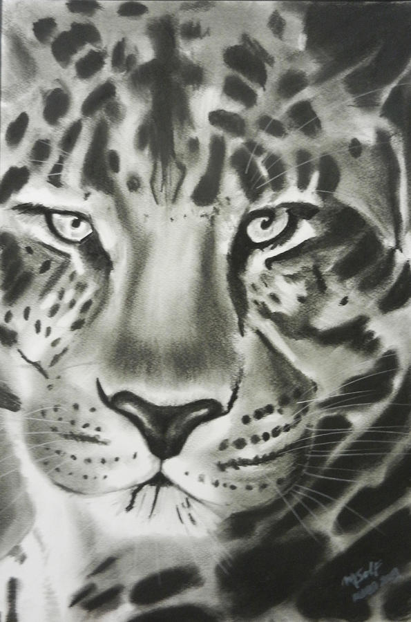 Jaguar Drawing by Gretel Solf - Fine Art America