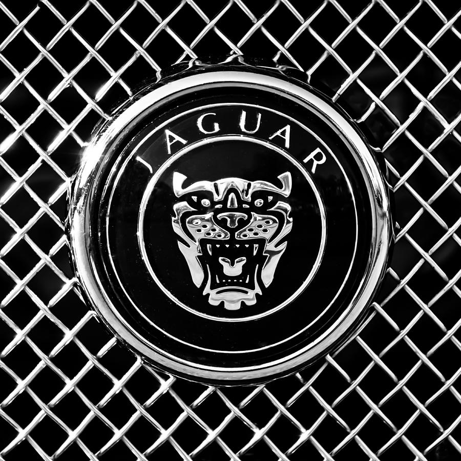 Black And White Photograph - Jaguar Grille Emblem -0317bw by Jill Reger