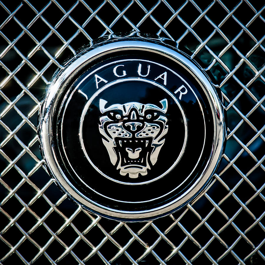 Jaguar Grille Emblem -0317c Photograph by Jill Reger - Fine Art America