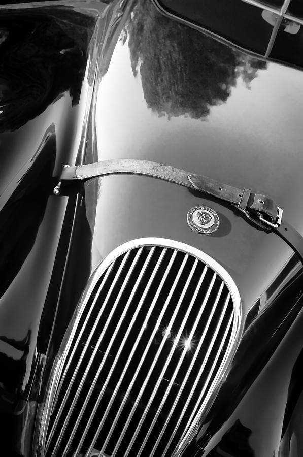 Jaguar Hood Emblem - Grille Photograph by Jill Reger