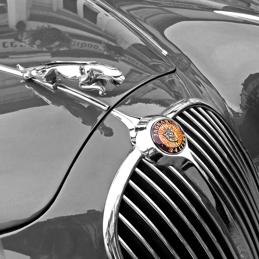 Jaguar Hood Ornament 1960 Photograph by Gill Billington