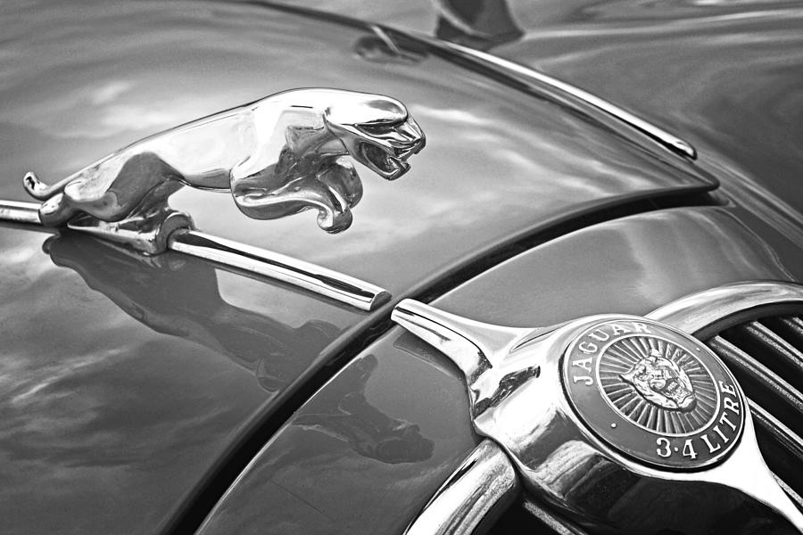Up Movie Photograph - Jaguar Hood Ornament in Black and White by Gill Billington