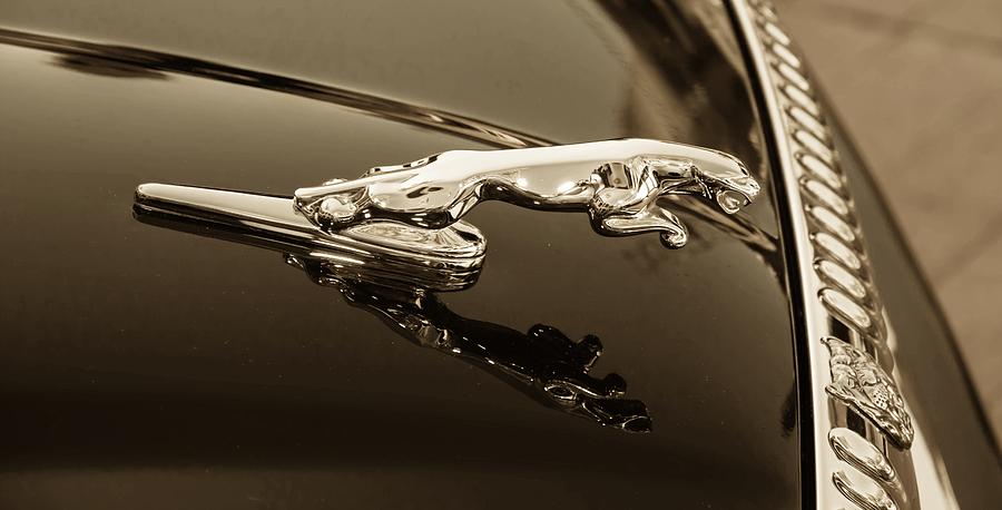 Transportation Photograph - Jaguar Hood Ornament Sepia by Michael Moriarty