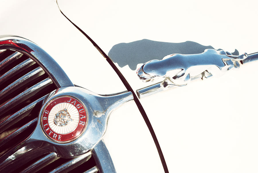Jaguar Mark Ii Photograph - Jaguar Mark II Hood Close Up by Milica Ljevaja Stojanovic Jaguar Mark Ii Photograph - Jaguar Mark II Hood Close Up by Milica Ljevaja Stojanovic