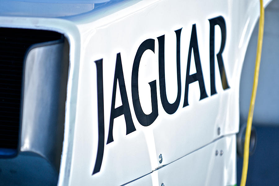 Jaguar Mfg ID Photograph by Dave Koontz