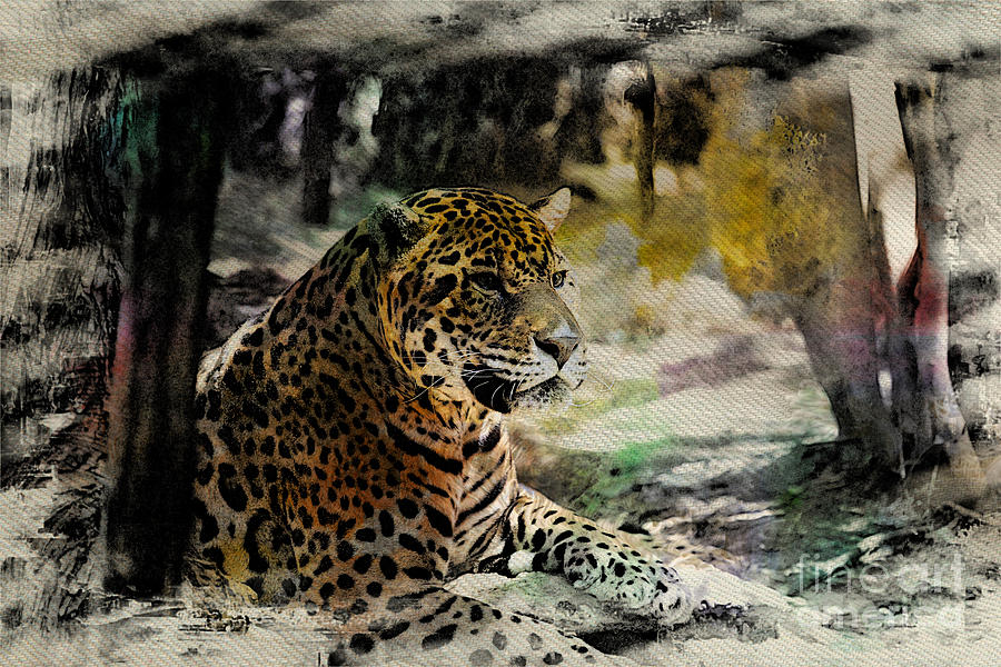 Jaguar-Modern Photograph by Douglas Barnard
