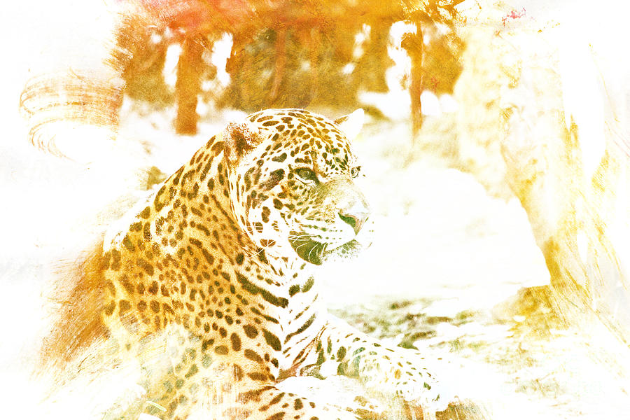 Jaguar-Modern V2 Photograph by Douglas Barnard