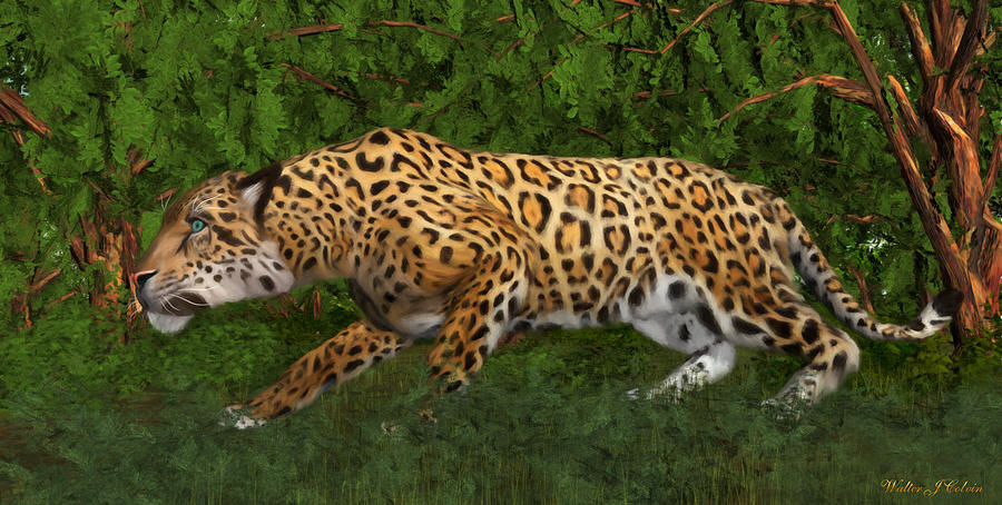 Jaguar Stalking Prey Digital Art by Walter Colvin