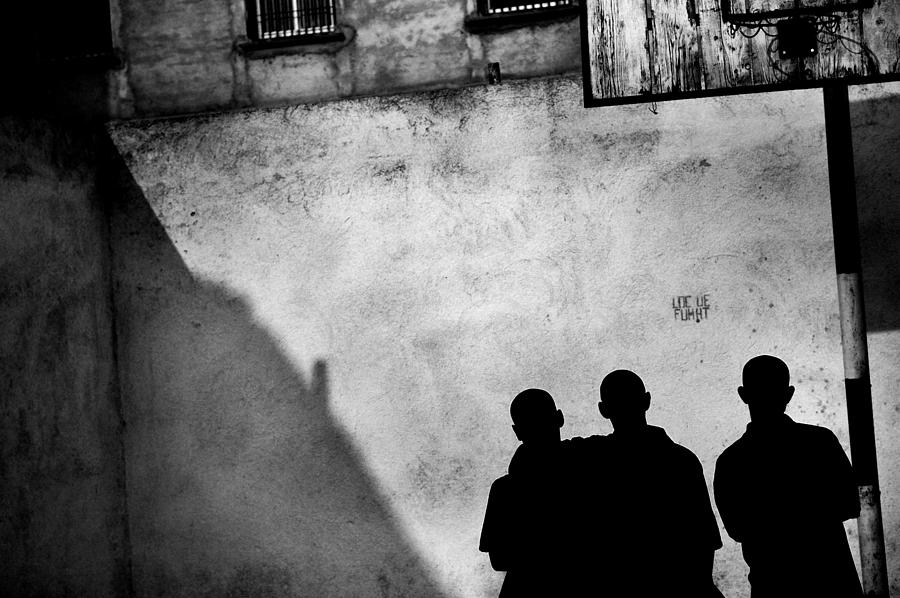 Digital Photograph - Jail Buddies by Damianovskaia