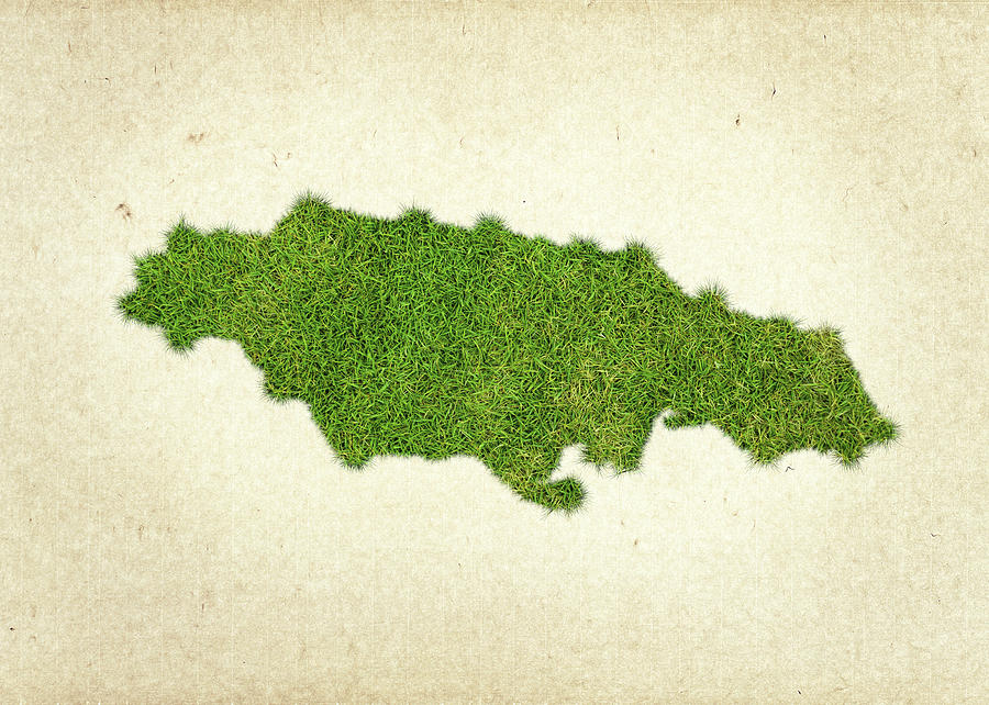 Nature Photograph - Jamaica Grass Map by Aged Pixel