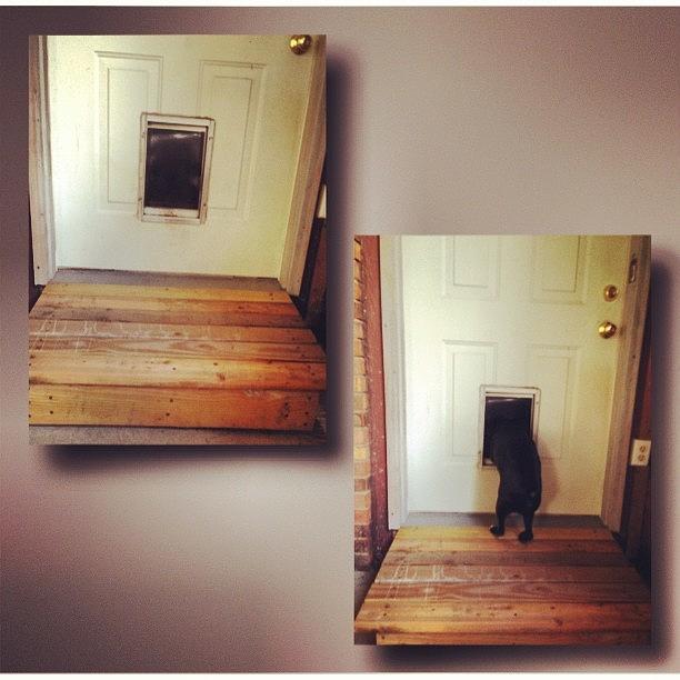 Jakes New Ramp For His Doggie Door Photograph by Sarah Steele
