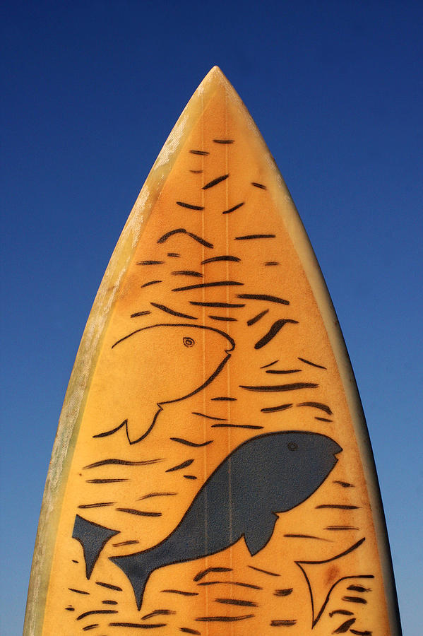 Fish Photograph - Jalama Surfboard by Art Block Collections