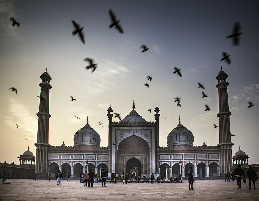 Jama Masjid in Delhi with birds flying over Photograph by Todd Brown