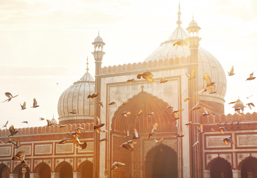 Jama Masjid - Old Delhi, India Photograph by Powerofforever