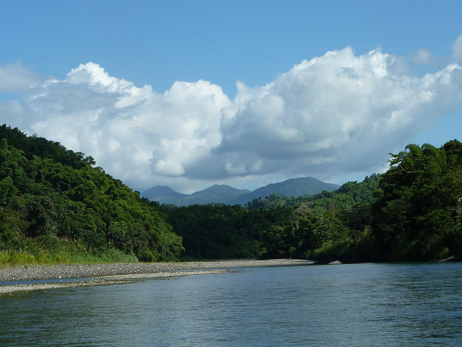 Jamaica Blue Mountains Rio Grande River Photograph By Andrew Rodgers Pixels