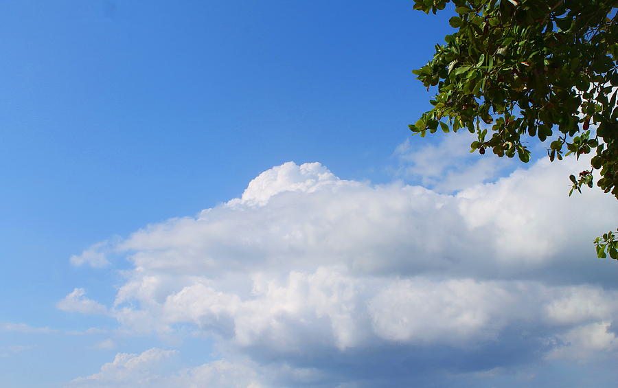 Jamaica Clouds Photograph by Debbie Levene