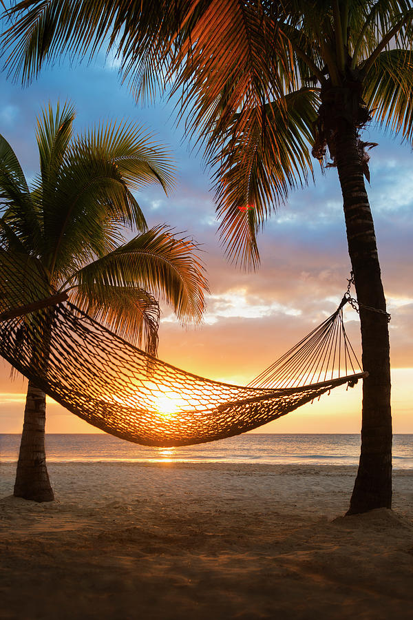 Jamaica, Hammock On Beach At Sunset Photograph by Tetra Images | Fine ...