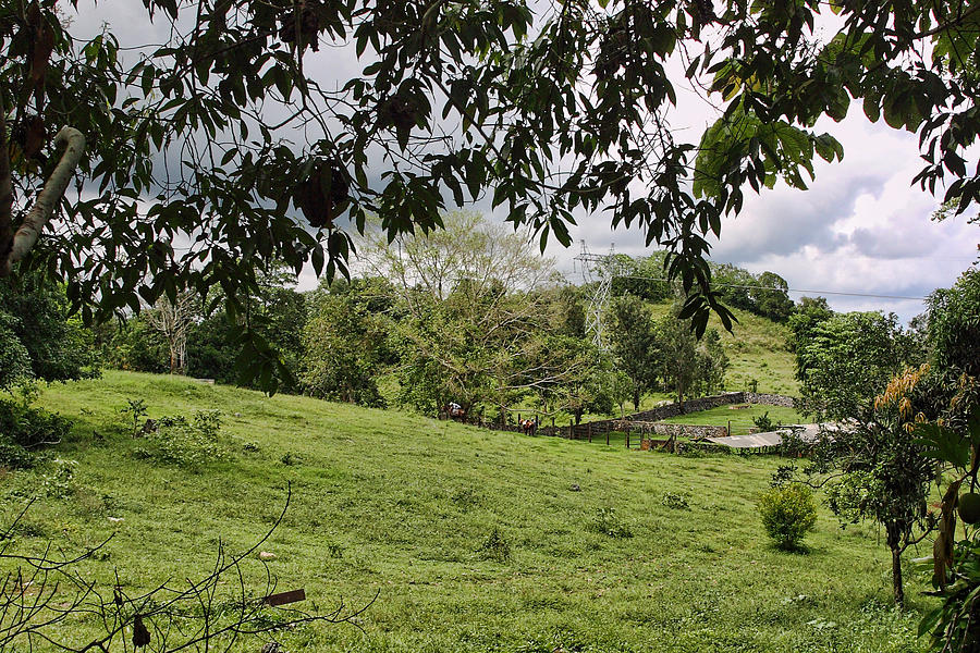 Jamaica Range Landscape Photograph by Linda Phelps - Fine Art America