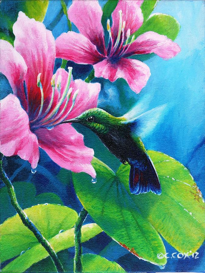 Hummingbird Painting - Antillean Mango by Christopher Cox