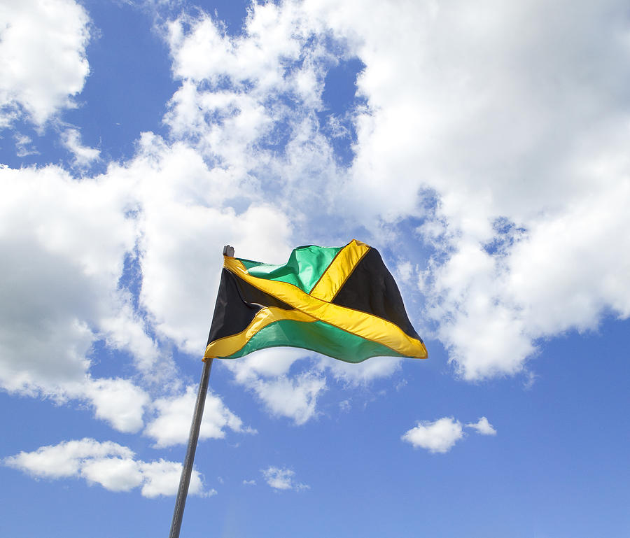 Jamaican National Flag Photograph by Sam Diephuis
