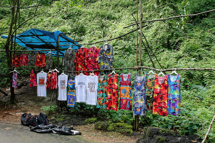 Jamaican Shirts in the Woods Photograph by Linda Phelps