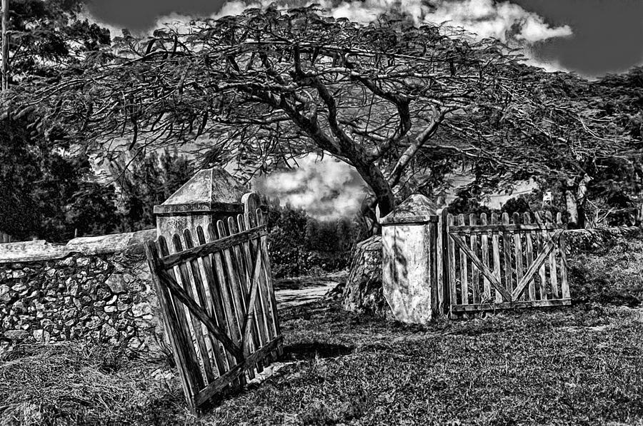 Jamaician Grave Yard on Treasure Beach Photograph by Carl Cox