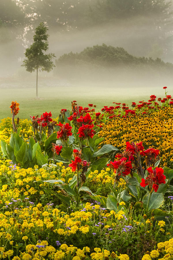 James Garden Sunrise Photograph by Marilyn Cornwell