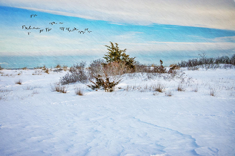 Jamesport Beach In Winter Photograph by Cathy Kovarik
