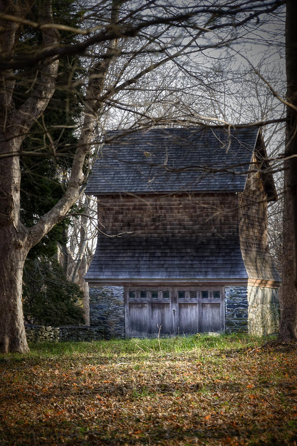 Tree Photograph - Jamestown House by Joan Carroll