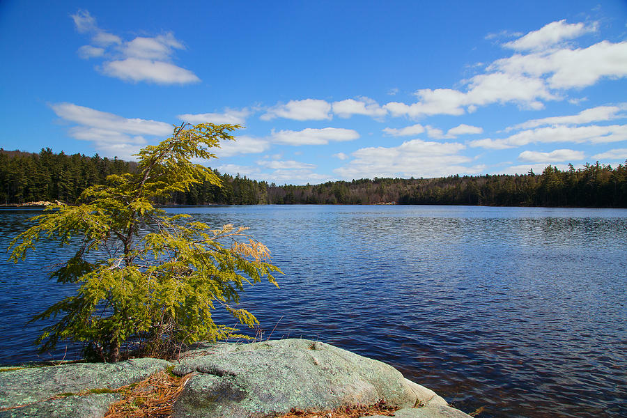 Jamies Pond Blue Sky Water Photograph by Norm Rodrigue - Pixels