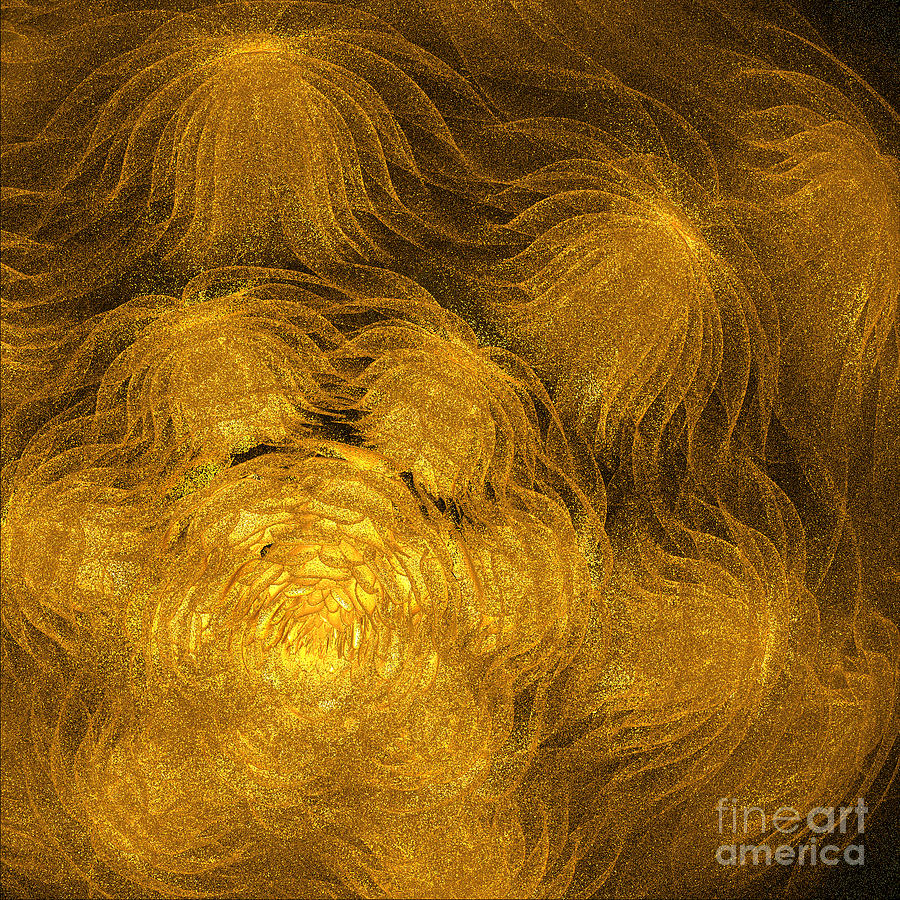 Jammer Anemones In Gold Digital Art by First Star Art