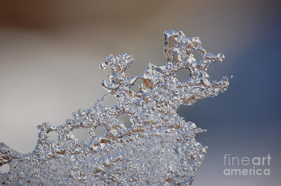 Abstract Photograph - Jammer Fractal Ice 001 by First Star Art