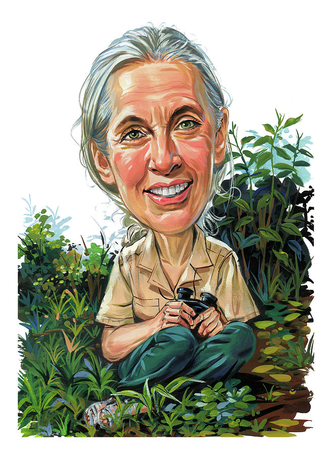 Jane Goodall Painting by Art  