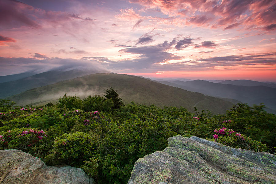 Jane's Light Photograph By Halley Burleson - Fine Art America