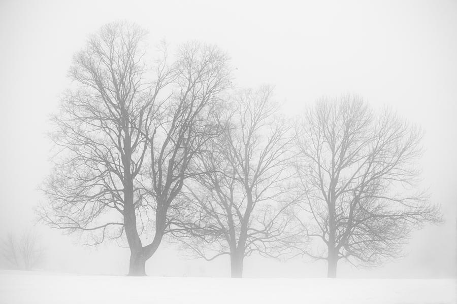 January Fog Photograph by Robert Clifford
