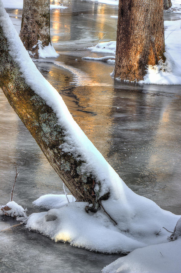January Freeze Photograph by Michael Eingle