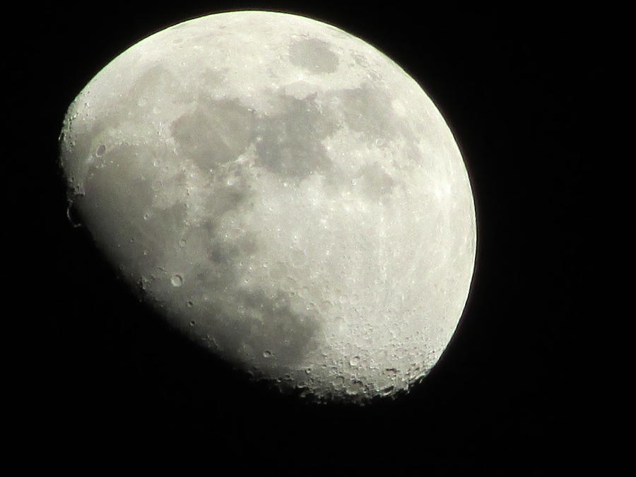 January Moon 1 Photograph by Kathy Long