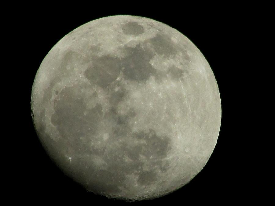 January Moon 5 Photograph by Kathy Long