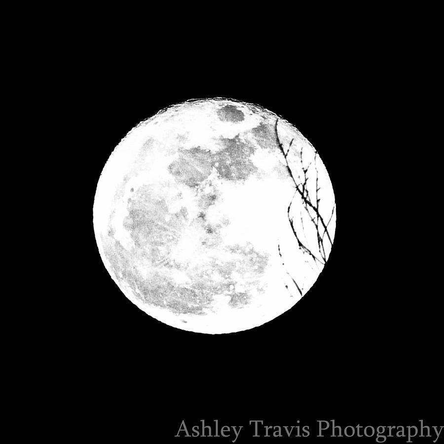 Winter Photograph - January Moon by Ashley Travis