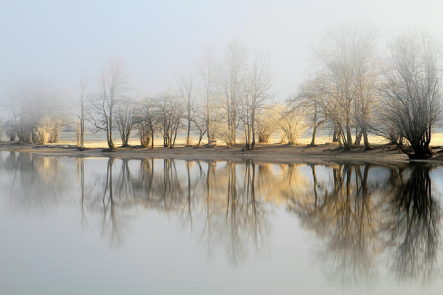 Winter Photograph - January Morning by Bor
