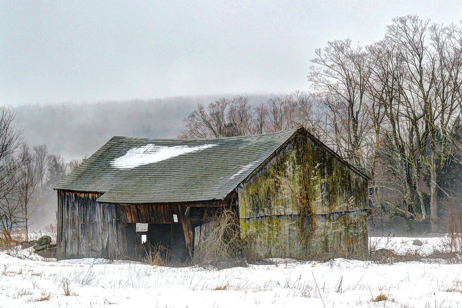 Winter Photograph - January Morning by Geoffrey Coelho