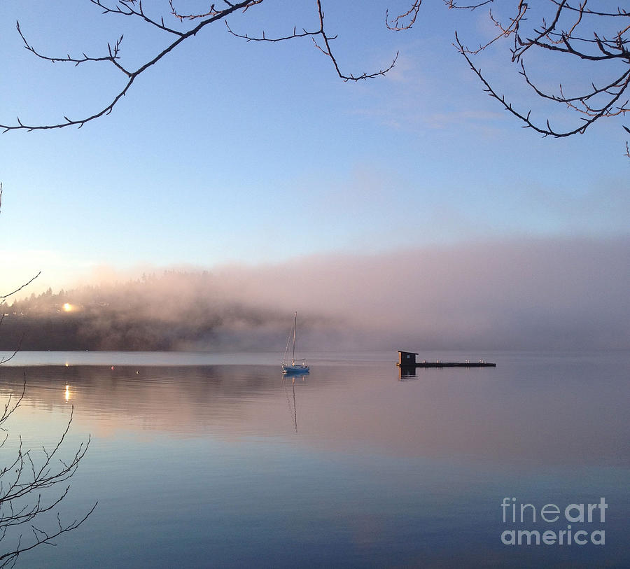 January Morning Mist Photograph by Kim Prowse
