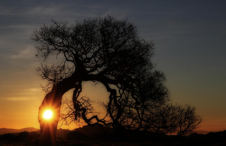 January Sunrise Photograph by Daniel Byerly Fine Art America