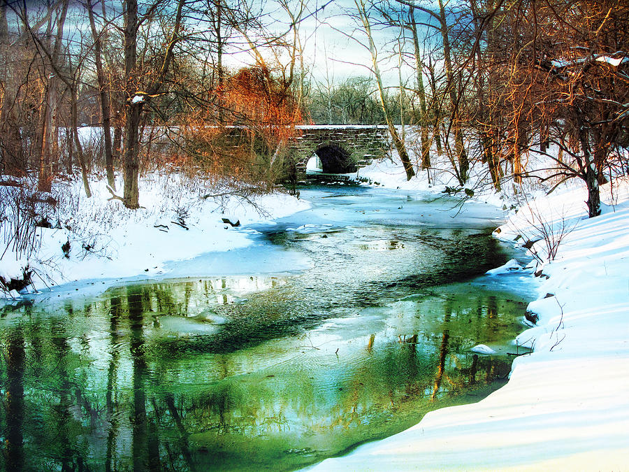 Winter Photograph - January Thaw by Jessica Jenney