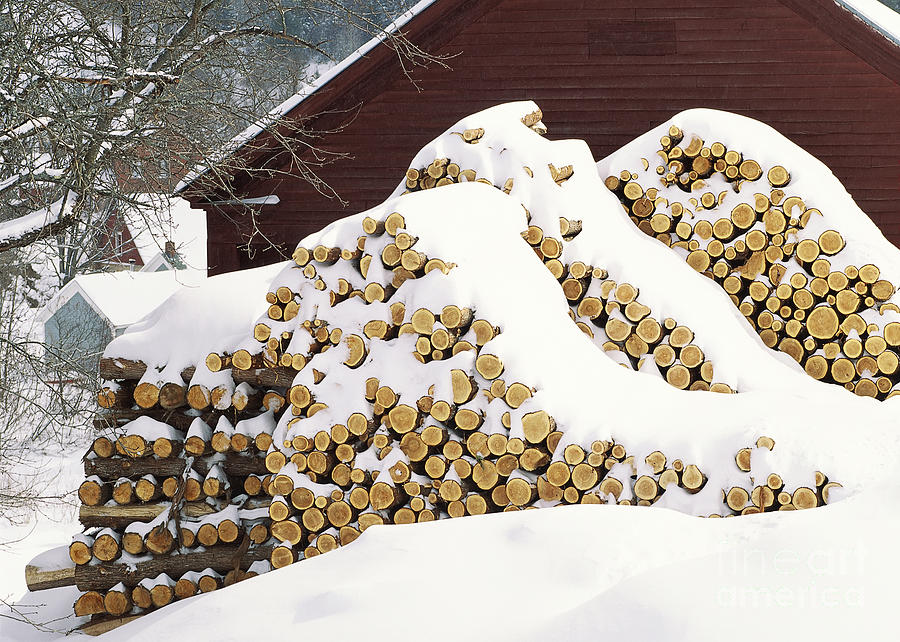 January Woodpile Photograph by Alan L Graham